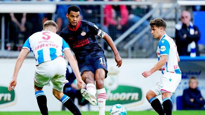 的离任看足 的离任看足