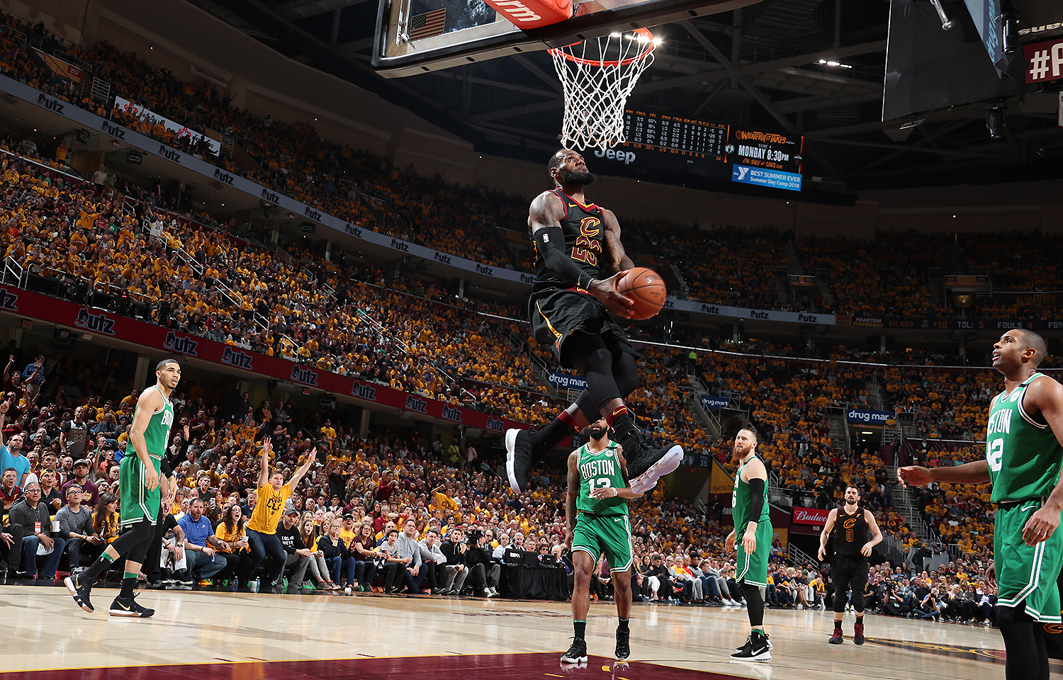 对策选择与 对策选择与