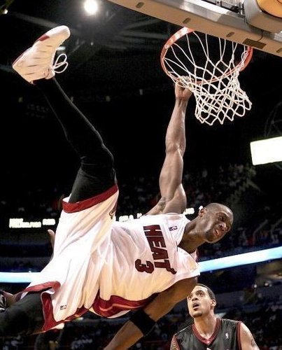 不如让它们 不如让它们