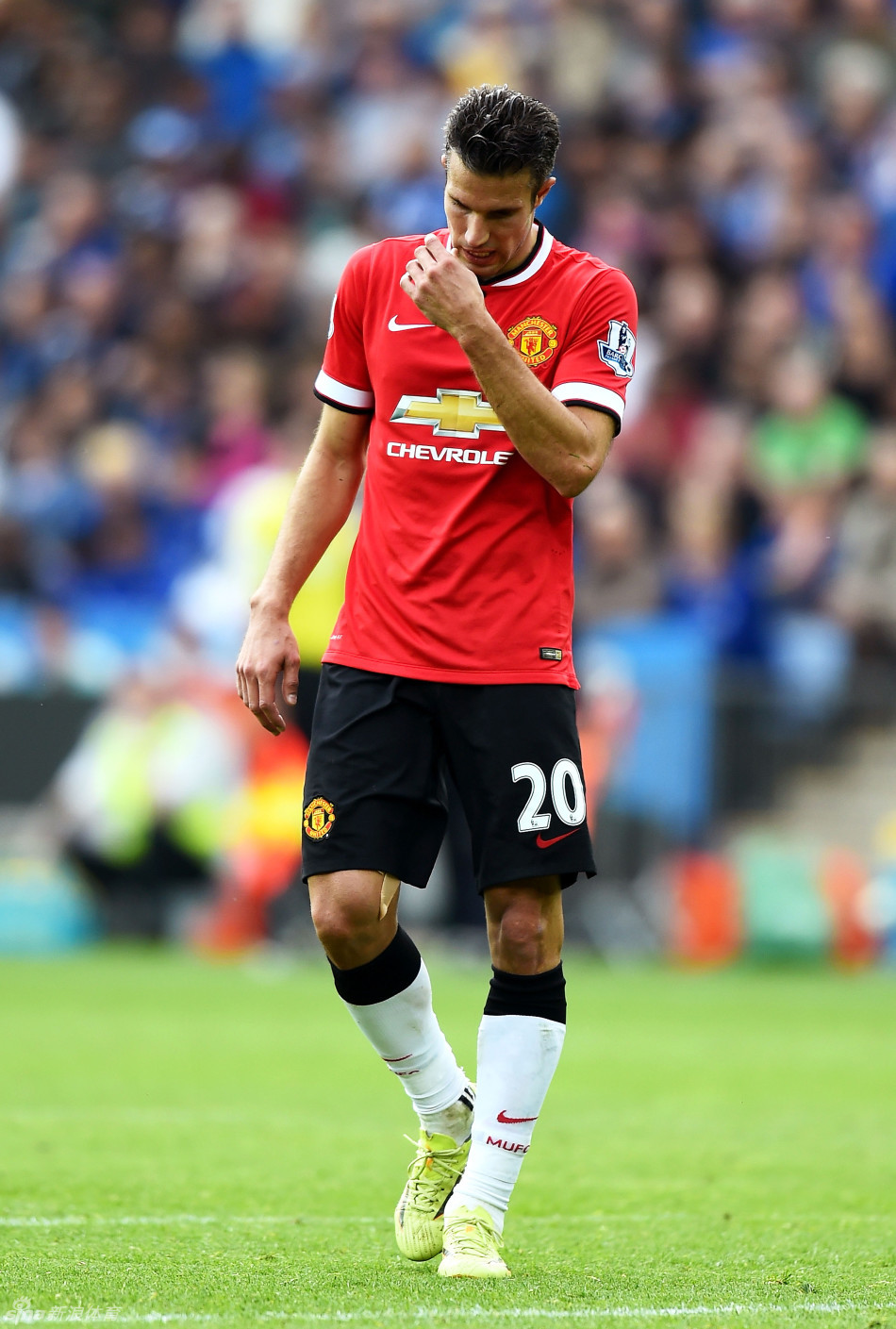 深筹码放大 深筹码放大