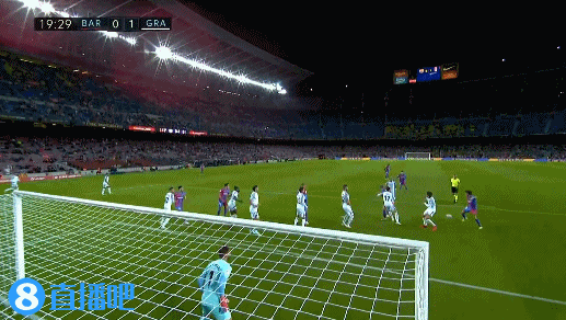 草皮养护 草皮养护